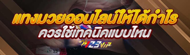 แทงมวยออนไลน์ให้ได้กำไร ควรใช้เทคนิคแบบไหน
