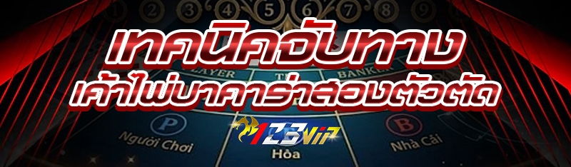 เทคนิคจับทาง เค้าไพ่บาคาร่าสองตัวตัด